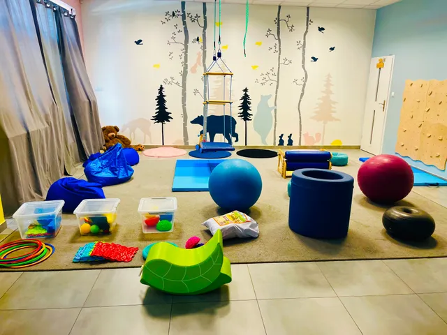 Sala integracji sensorycznej AniMiś — leśna ściana, drabinka wspinaczkowa i sprzęt terapeutyczny: piłki, wałki i maty